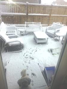 Calgary Sept 8th Victoria's back yard