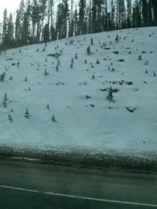 Why or why are we coming home when it is still winter. Next year we will wait a little later.