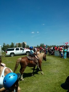 Mama don't let him growup to be a cowboy 