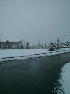 may 3rd snow  6 inches