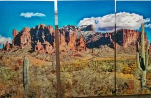 Local photographer builds pictures to size and has them put on canvas