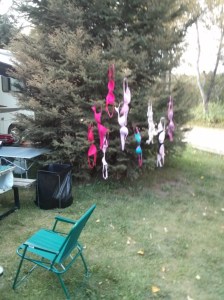 The BRA tree. The ladies hung them up to dry after a river run.
