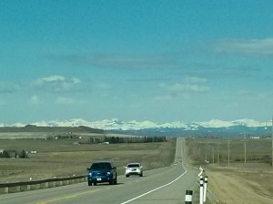 Drive out to my golf course this morning. Stop and smell the roses.