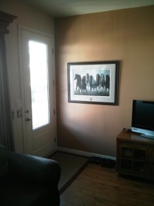 Ducks Unlimited Horses