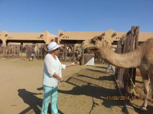 Gail and her favorite camel .