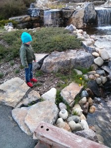 Jackson playing in between cart rides