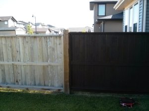 Victoria's fence