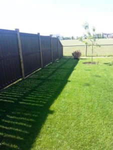 Good looking fence. Just needs the posts stained black