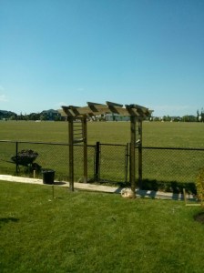 Day 4 complete with solar lights and dadoed cross beams. Just stain and done