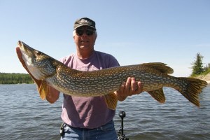 Now that is the size I am looking for !!