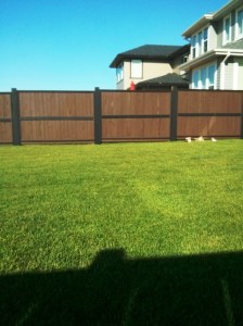 Fence all done !