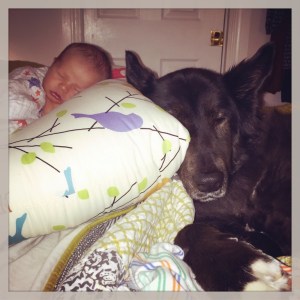 Nellie & August catching a few zzz's 