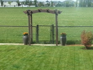 Just the black left. Flowers look great !