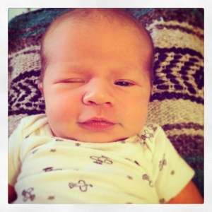 Wink Wink Nudge Nudge