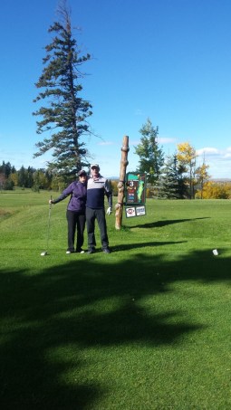 Take a look at the scenery. 