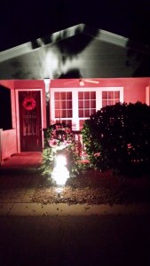 The white figure is a Christmas Bear 