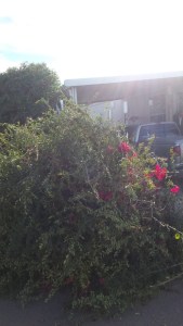 And this is just the cut offs