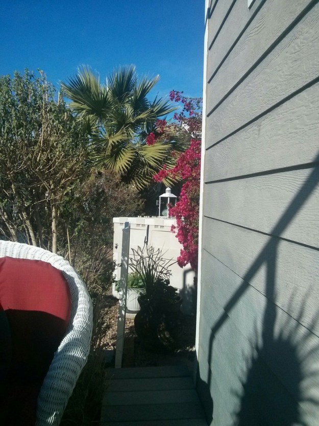 I love the looks of our back yards. 