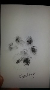 Victoria's Pet Print " Farley Larry Waldie"