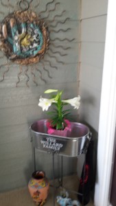 Hate to leave it behind.