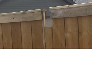 My issue that I need a solution to 