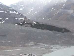 Haven't been here for at least 40 years and they are spectacular 