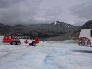 Amazing trip and the machines were awesome 