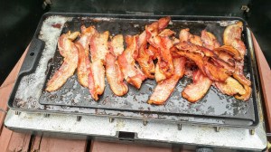 Over 1 cup of fat from 1 pound of bacon. Wow but man was it good 