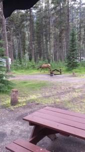 That is our table on the bottom right. 