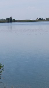 You could see yourself in the water it was so smooth 