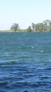 Very windy but to be expected in Lethbridge 