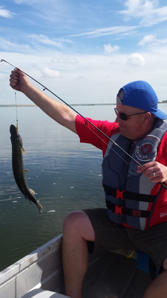 Pulled these guys out one after another at Keho Lake 