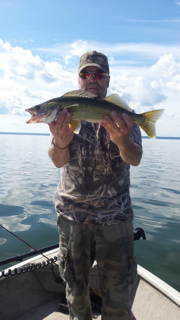 One of many very nice sized Walleye 