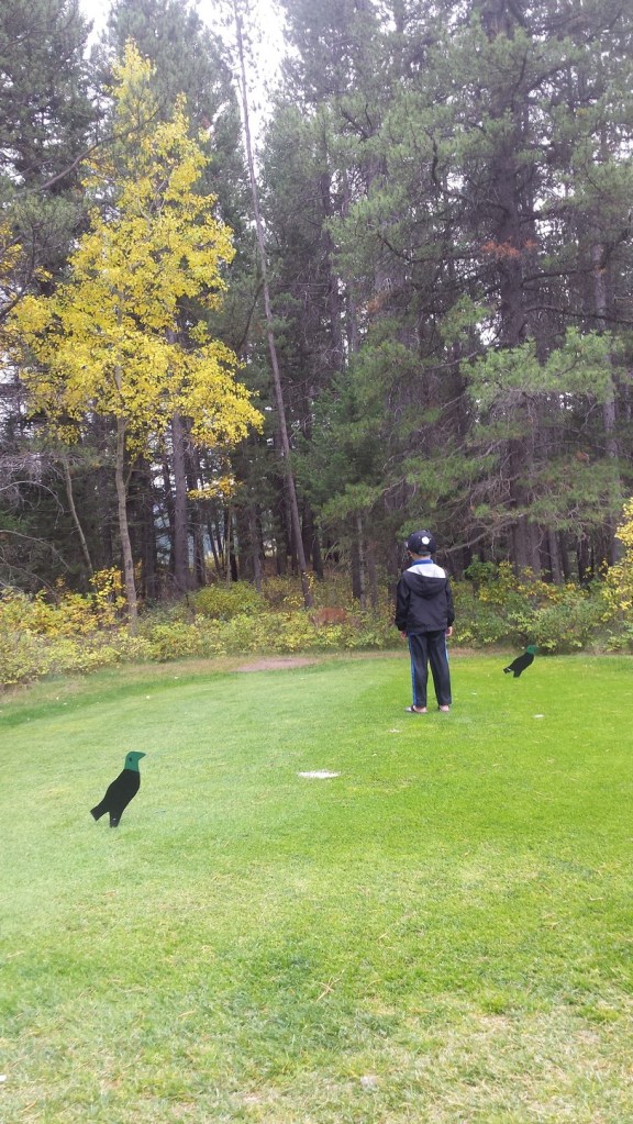 Notice the deer only a few feet away. 