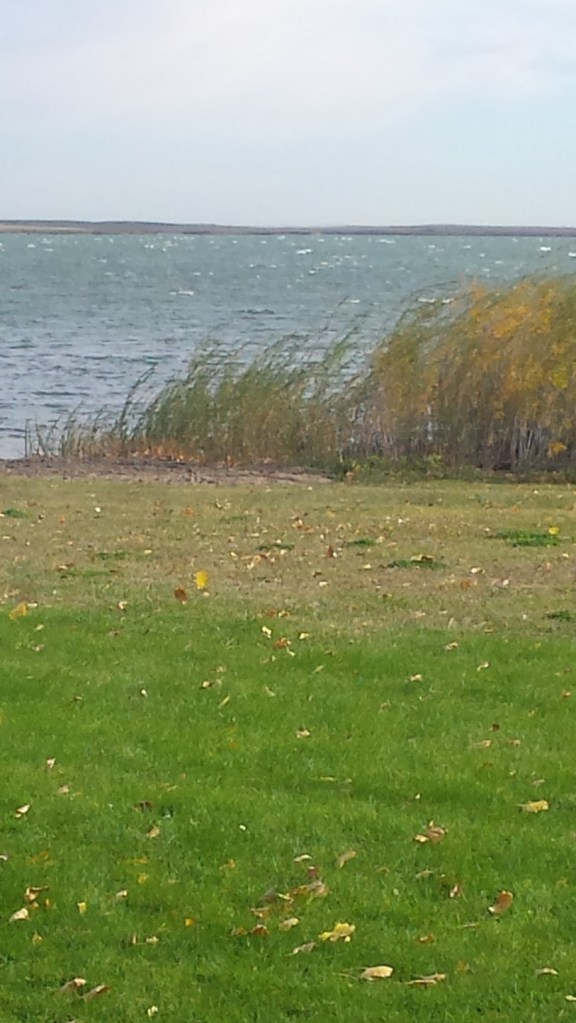 Winds gusting to 43 kmph