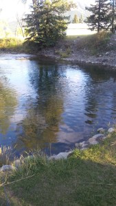 Our fishing hole