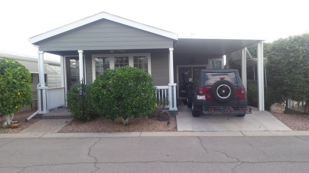 Trees all trimmed and looking good 