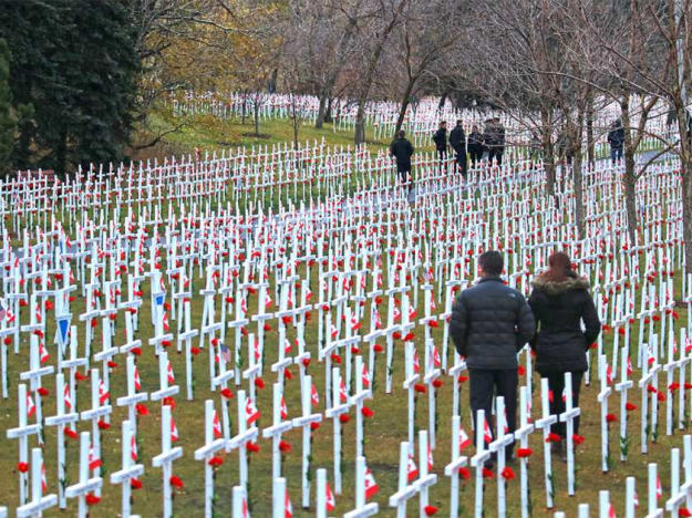Field of Crosses in Calgary